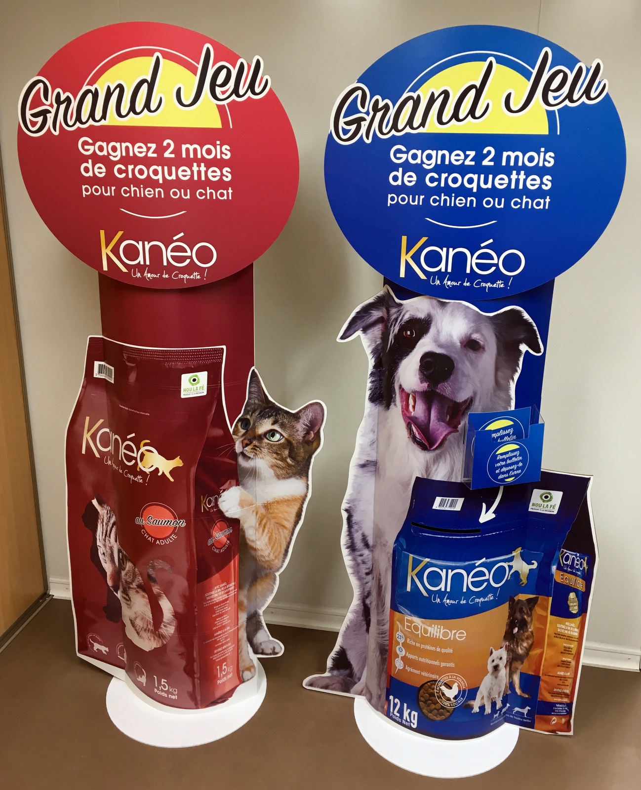 Kanéo